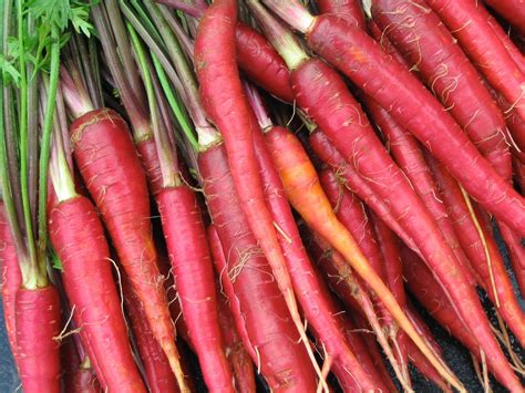 Fresh Red Carrot (Gajar) 500g