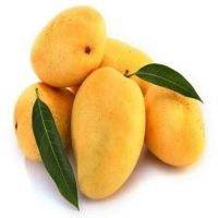Fresh Badami Indian Mango 9-10 piece