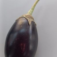 Fresh Chinese Eggplant 500gm