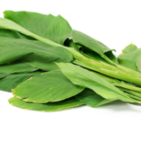 Fresh Galanga Thailand 500gm