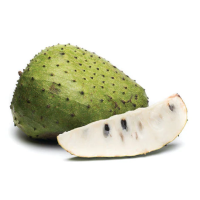 Fresh Anoda 450-600g (app)