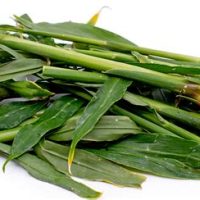 Fresh Ginger Leaf 100gm