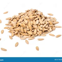 Heera Melon Seeds - 100g