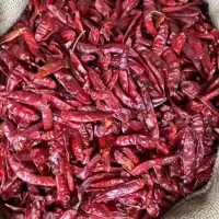 Frozen Ashoka Red Chilli whole - 310gm