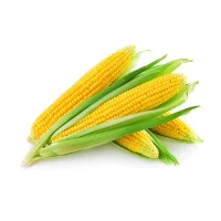 Fresh Sweet Corn 220g